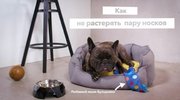 Стиральная машина Electrolux EW9F1R61B фото 4 в Краснодаре