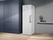 Морозильная камера Electrolux RUT5NF28W1 фото 3 в Краснодаре