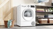 Сушильная машина Bosch WQG245DLSN фото 4 в Краснодаре