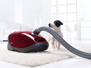 Пылесос Miele SGEA3 Complete C3 Cat&Dog ежевичный красный фото 2 в Краснодаре