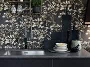 Мойка Франке BXX 210-68 сталь фото 2 в Краснодаре Мойка Franke BXX 210-68 сталь фото 2 в Краснодаре