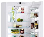 Холодильник Liebherr C 4023 фото 4 в Краснодаре