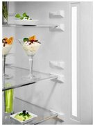 Холодильник Electrolux RNT7ME34K1 фото 3 в Краснодаре