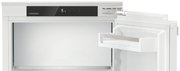 Встраиваемый холодильник Liebherr IRe 4021 Plus фото 3 в Краснодаре