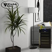 Винный шкаф Cold Vine C18-TBF1 фото 3 в Краснодаре