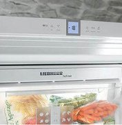 Холодильник Liebherr ICUNS 3023 фото 3 в Краснодаре