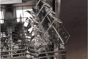 Встраиваемая посудомоечная машина Gaggenau DF481100 фото 4 в Краснодаре