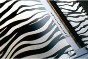 Вытяжка Falmec Mirabilia 67 Zebra Vetro (800) ECP фото 2 в Краснодаре