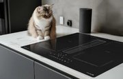 Индукционная варочная панель Zigmund Shtain CIS 303.60 BX с вытяжкой фото 4 в Краснодаре