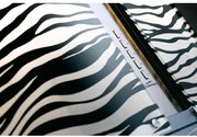 Вытяжка Falmec Mirabilia Isola 67 Zebra Vetro (800) ECP фото 2 в Краснодаре