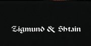 Духовой шкаф Zigmund Shtain EN 121.921 B фото 4 в Краснодаре