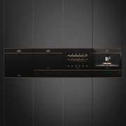 Духовой шкаф комбинированный с микроволновой печью Smeg SF4604PMCNR фото 3 в Краснодаре