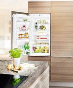 Встраиваемый холодильник Liebherr IK 1950 Premium фото 2 в Краснодаре