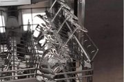 Встраиваемая посудомоечная машина Gaggenau DF480100F фото 4 в Краснодаре