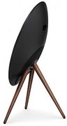 Беспроводная акустическая система Bang & Olufsen Beoplay A9 Smoked Oak фото 3 в Краснодаре