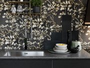 Мойка Franke BXX 210/110-68 полированная нержавеющая сталь фото 2 в Краснодаре