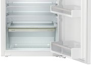 Встраиваемый холодильник Liebherr IRf 3901 Pure фото 4 в Краснодаре