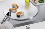 Тепан Miele CT 400 P фото 2 в Краснодаре