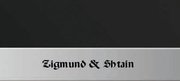 Духовой шкаф Zigmund Shtain EN 59.511 B фото 3 в Краснодаре