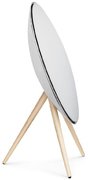 Беспроводная акустическая система Bang & Olufsen Beoplay A9 White фото 4 в Краснодаре