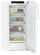 Холодильник Liebherr RBa 4250 фото 2 в Краснодаре