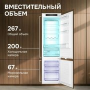 Встраиваемый холодильник Zigmund Shtain BR 25 X фото 4 в Краснодаре