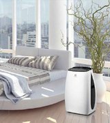 Мобильный кондиционер Electrolux EACM-13 HR/N3 фото 3 в Краснодаре