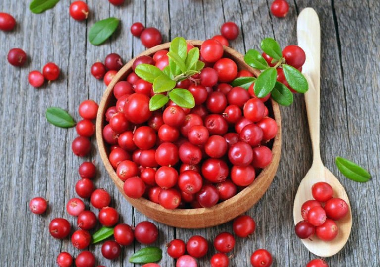 Можно ли, как и сколько хранить клюкву в холодильнике? Можно ли, как и сколько хранить клюкву в холодильнике?