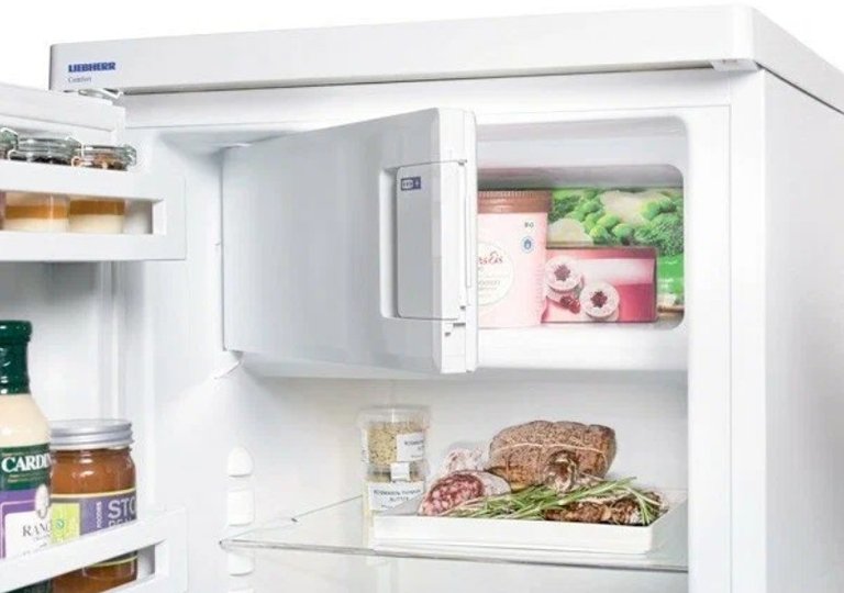 Обзор холодильника Liebherr T 1714 Обзор холодильника Liebherr T 1714