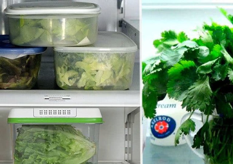 Можно ли, как и сколько хранить базилик в холодильнике Можно ли, как и сколько хранить базилик в холодильнике