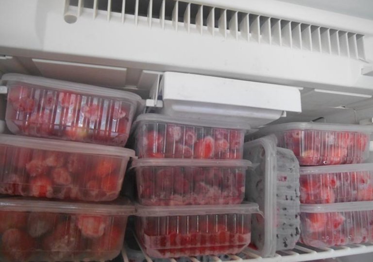 Можно ли, как и сколько хранить клубнику в холодильнике Можно ли, как и сколько хранить клубнику в холодильнике