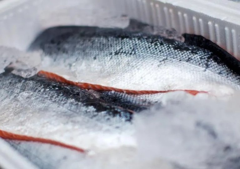 Можно ли, как и сколько хранить рыбу Можно ли, как и сколько хранить рыбу