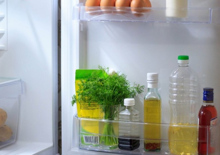 Можно ли, как и сколько хранить укроп в холодильнике Можно ли, как и сколько хранить укроп в холодильнике