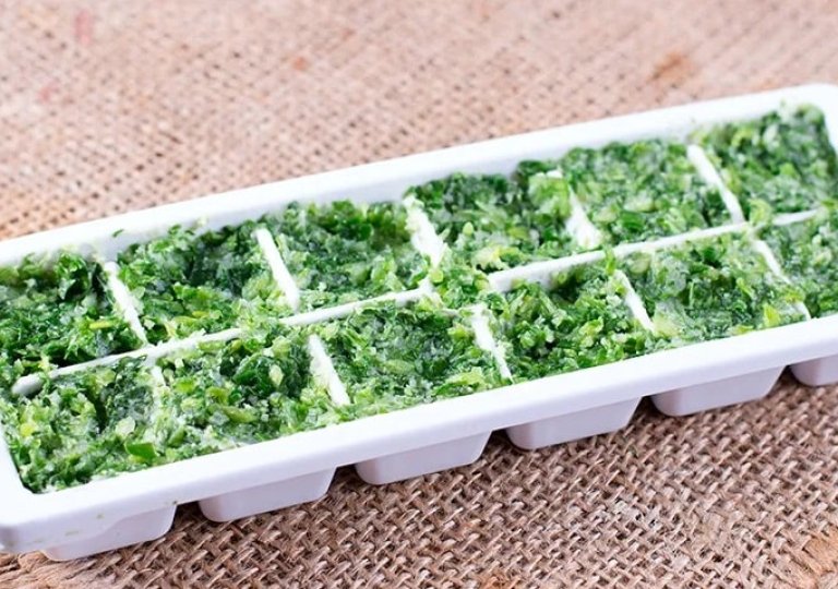 Можно ли, как и сколько хранить мяту в холодильнике Можно ли, как и сколько хранить мяту в холодильнике