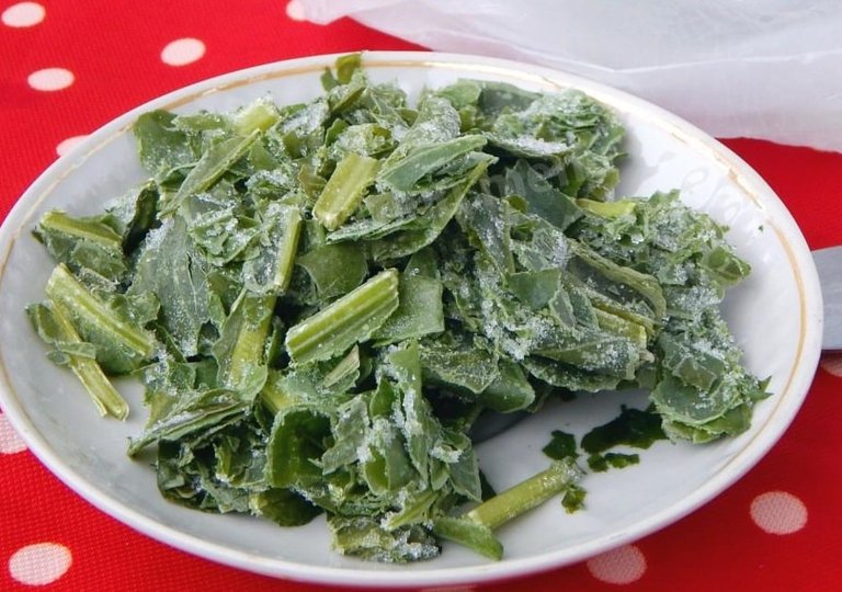 Можно ли, как и сколько хранить щавель в холодильнике Можно ли, как и сколько хранить щавель в холодильнике